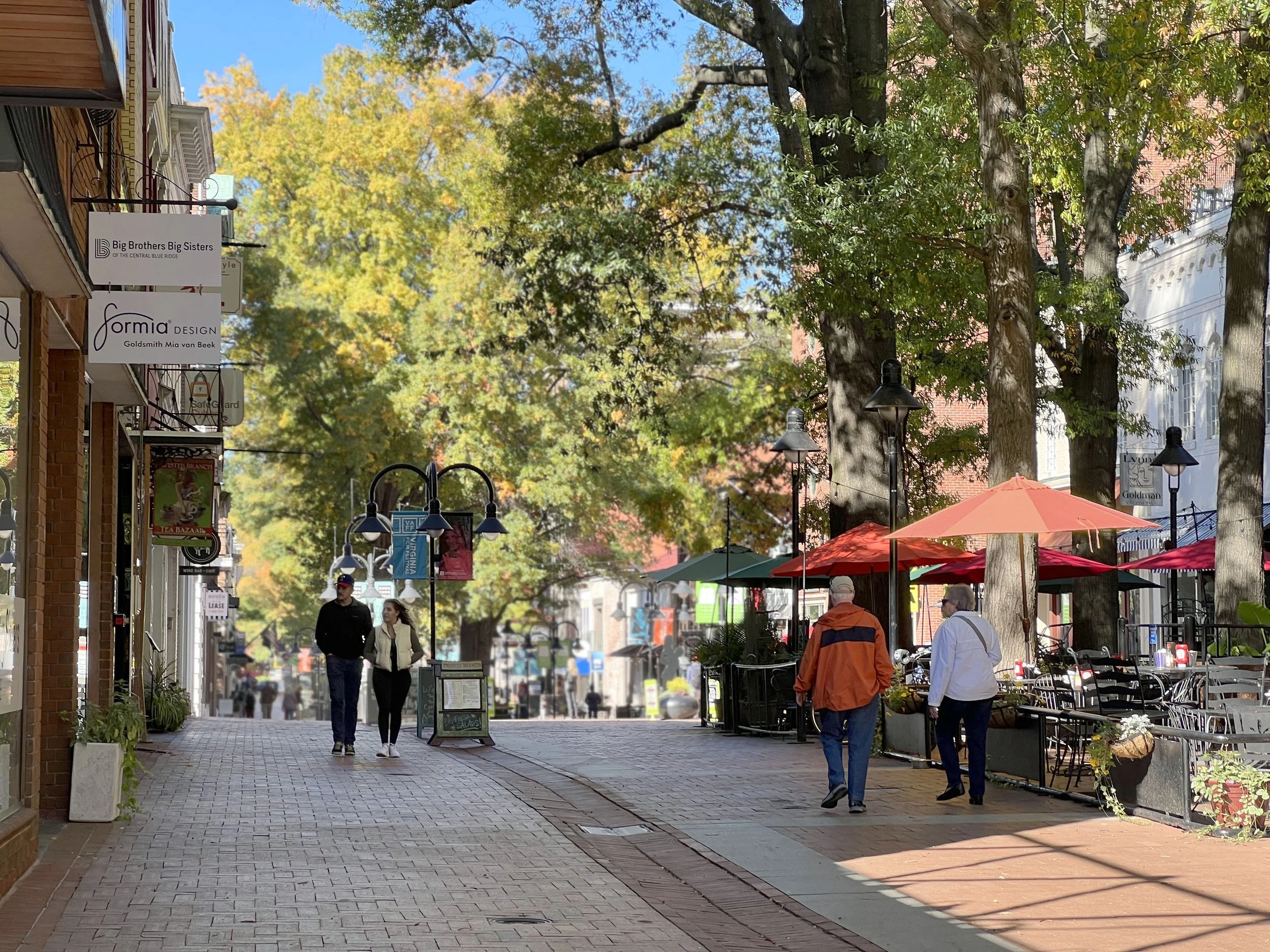 DOWNTOWN MALL TREE FRAMEWORK PLAN