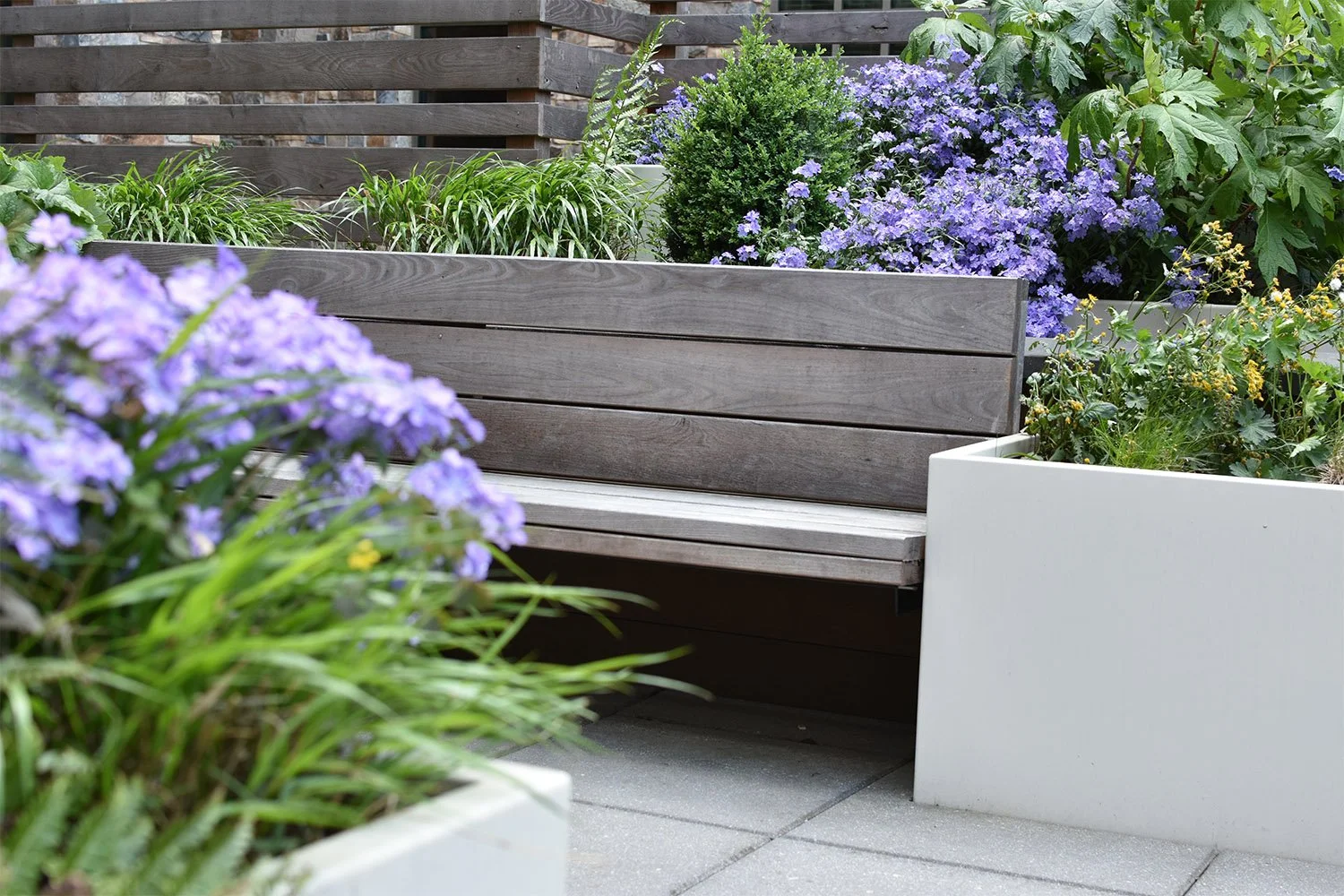 Serenity Garden_4.jpg