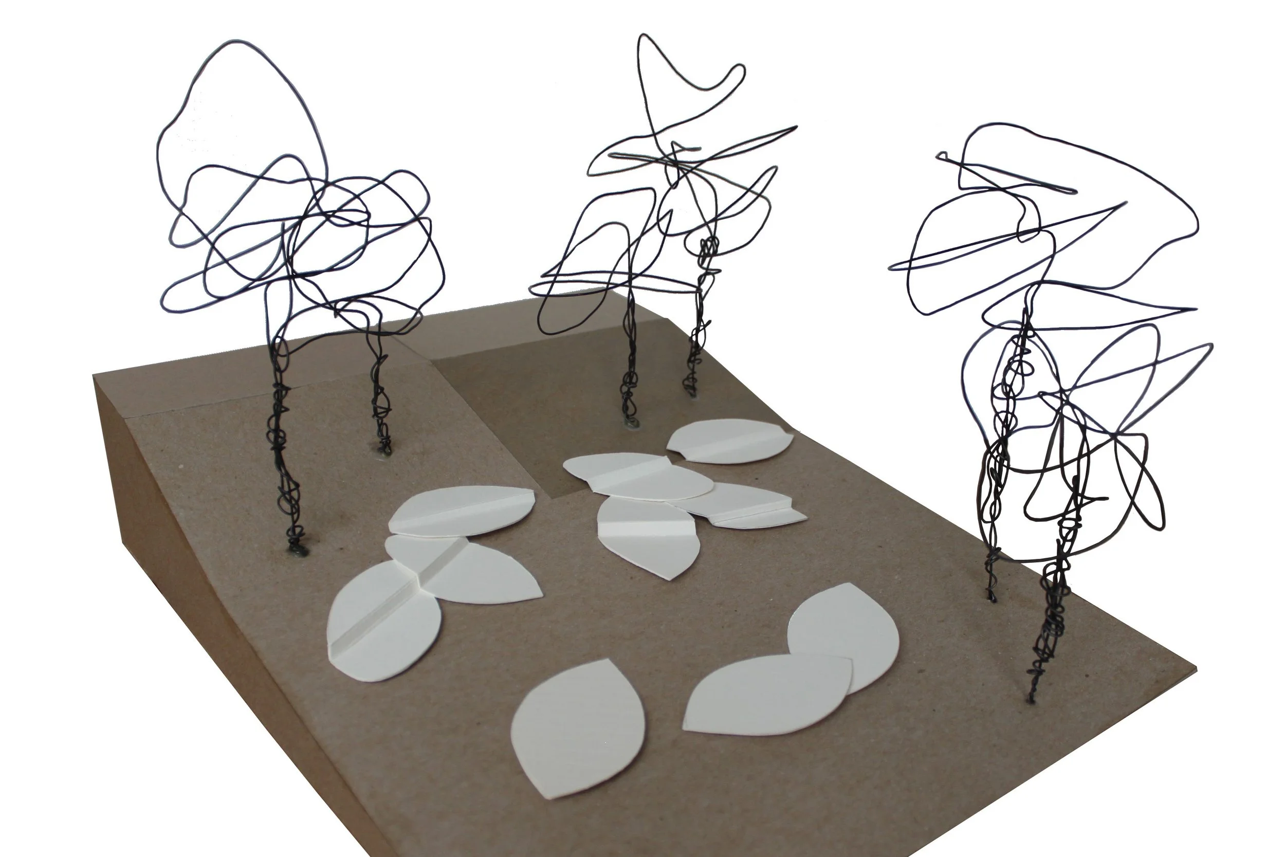 IMG_3351_edit (2).jpg