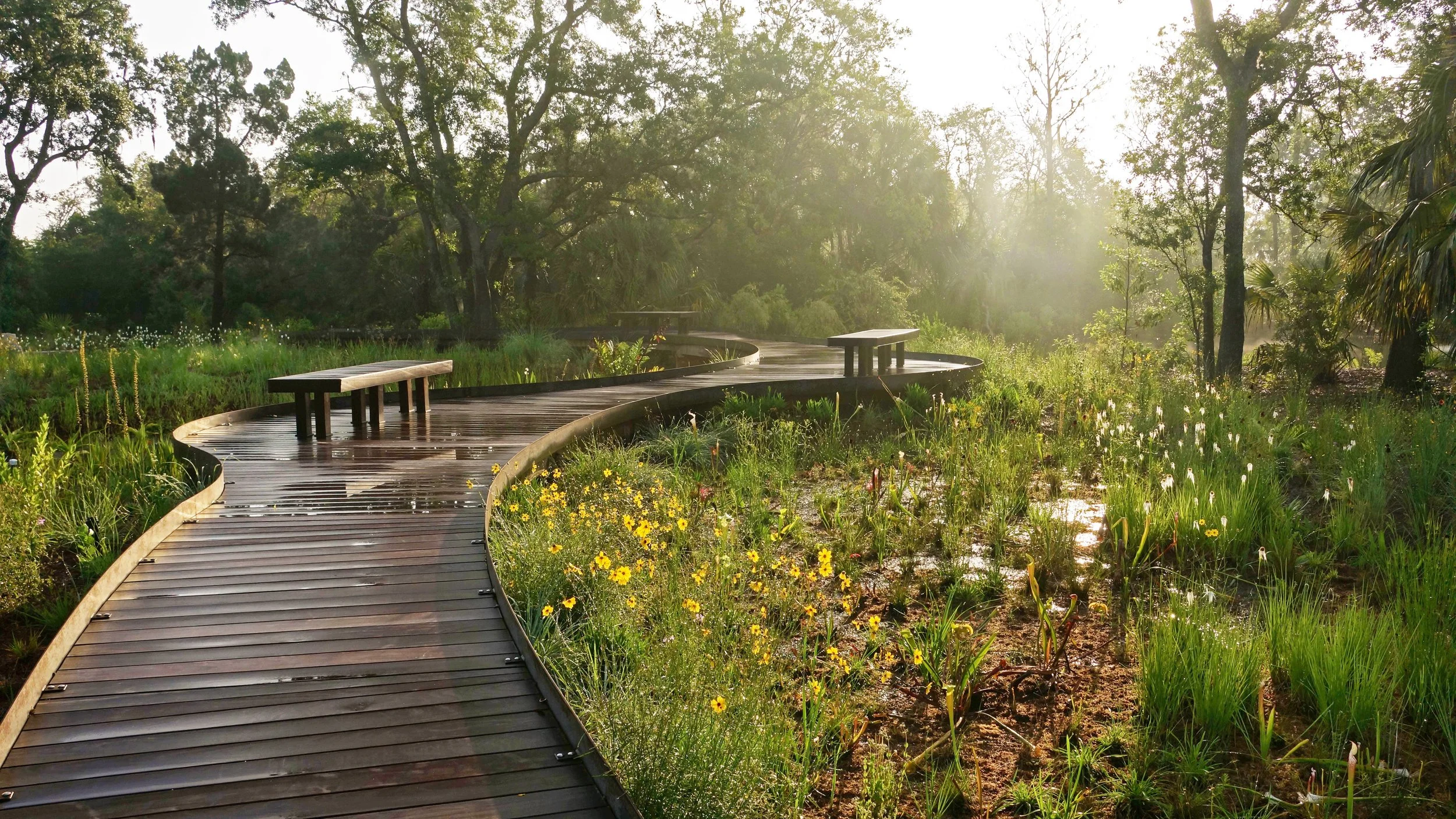 00_DSC08810David Price_edit_BRIGHT.jpg