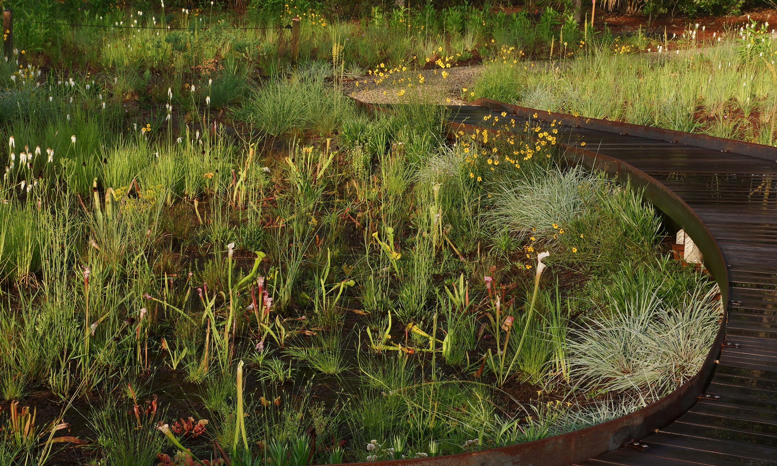 03_DSC08802David Price.jpg