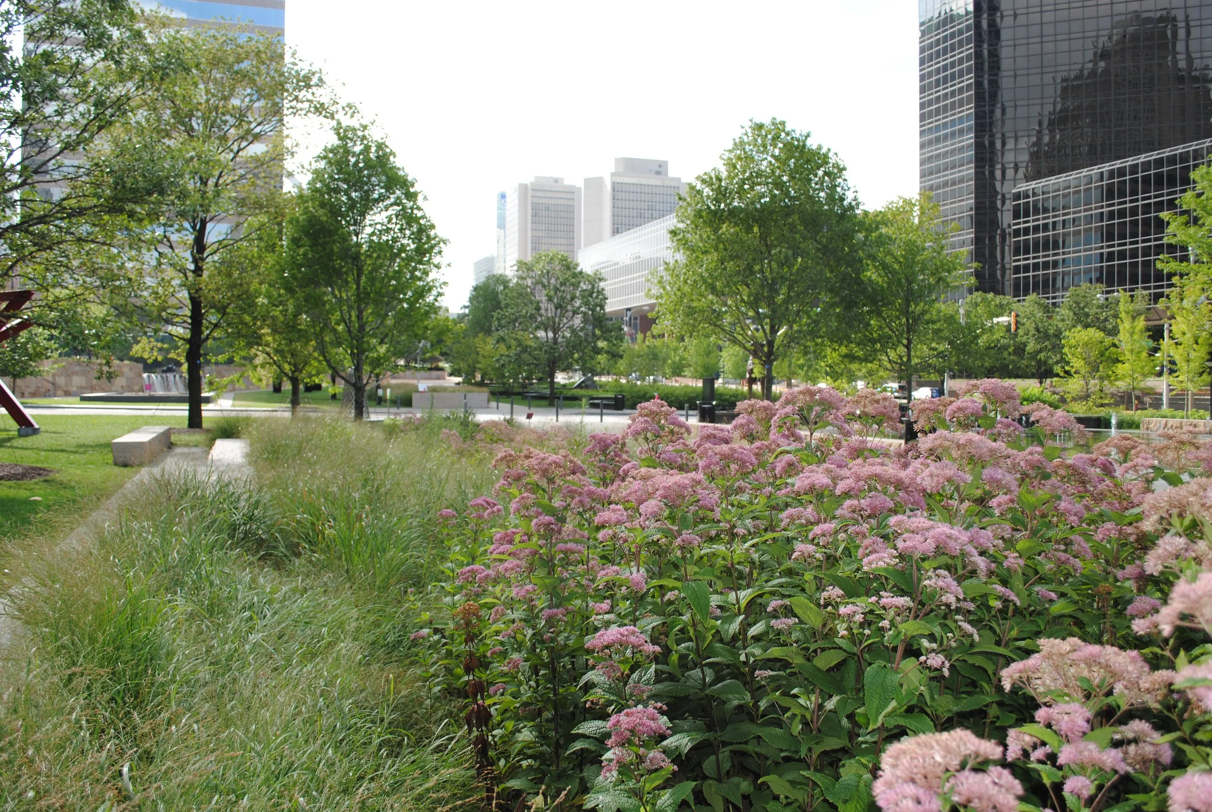 City Garden_10.JPG