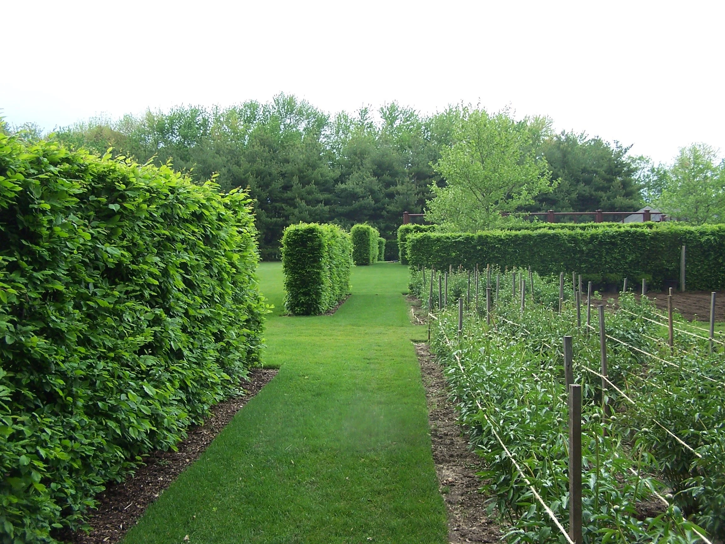 Long Island Garden_5.jpg