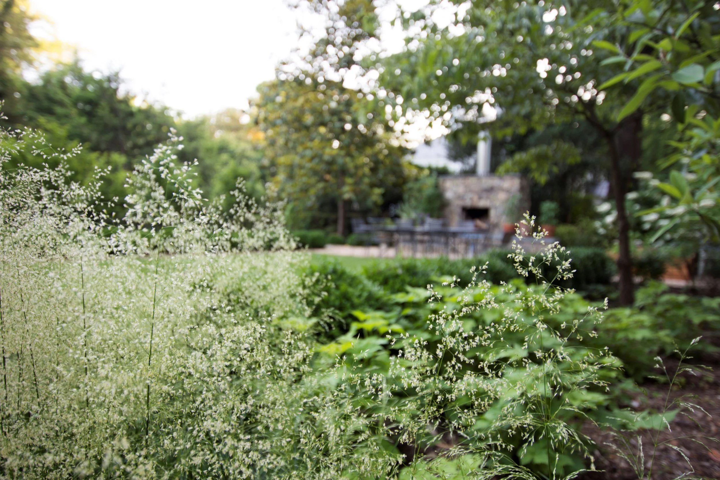 Terraced Garden_3.jpg