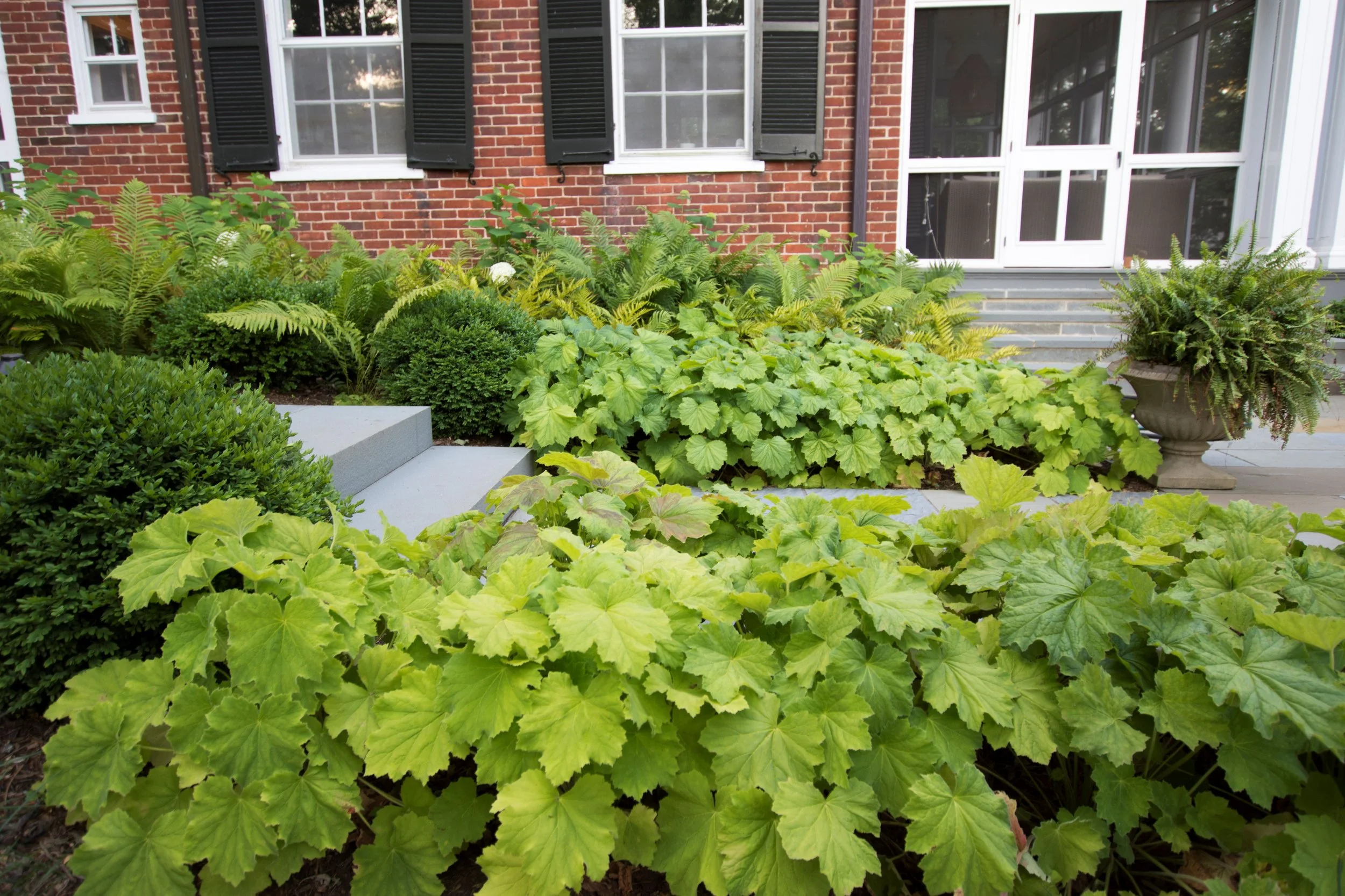 Terraced Garden_5.jpg