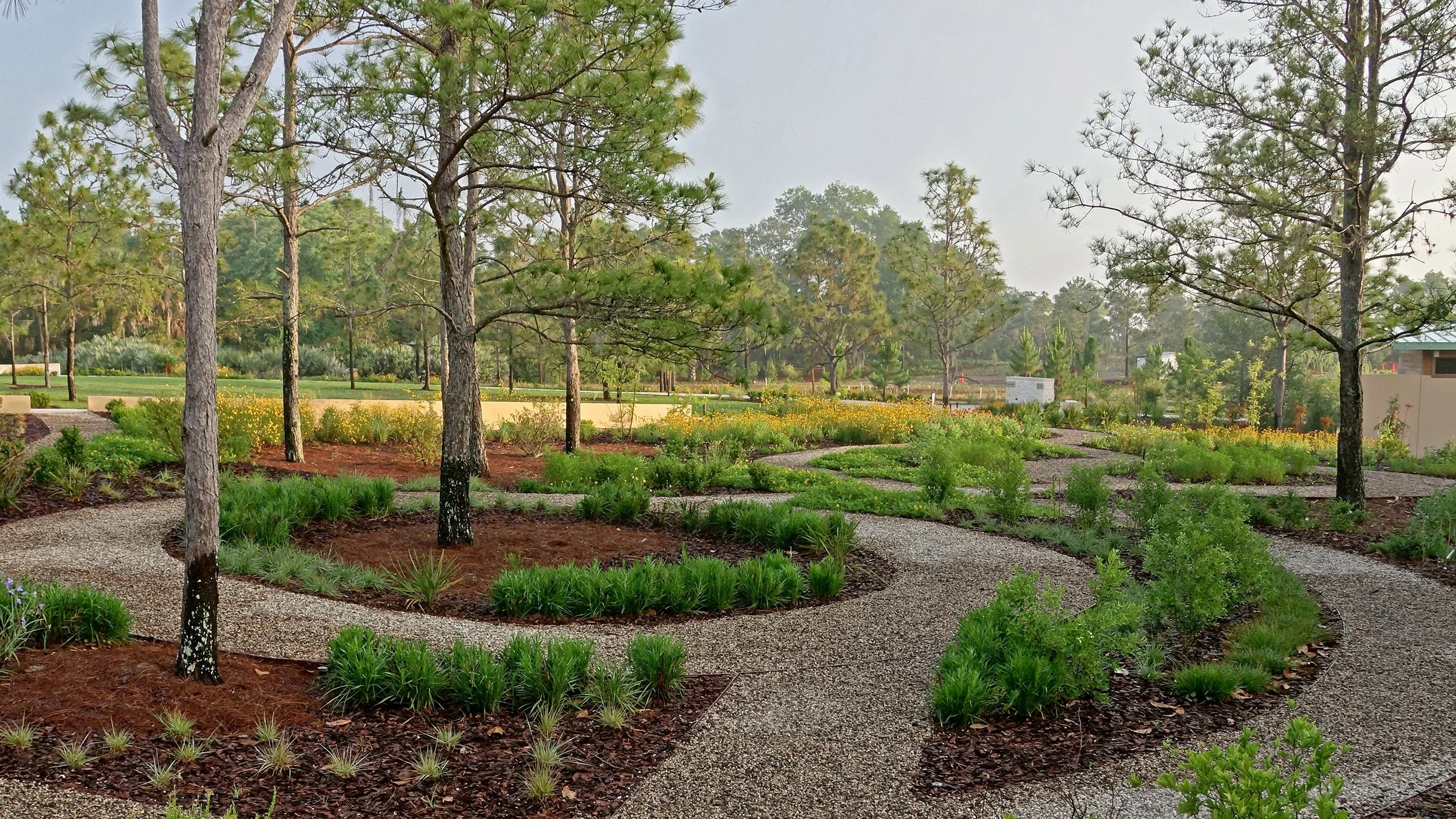 06_DSC08780David Price-crop.jpg