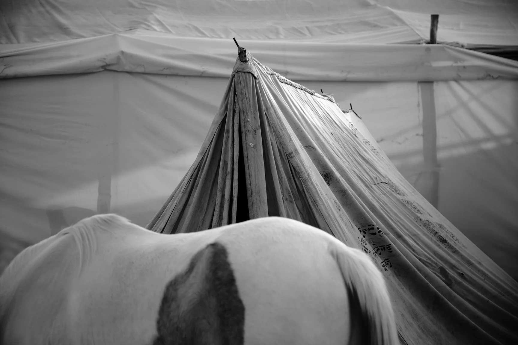 Bilotra web  BWA8838 .jpg
