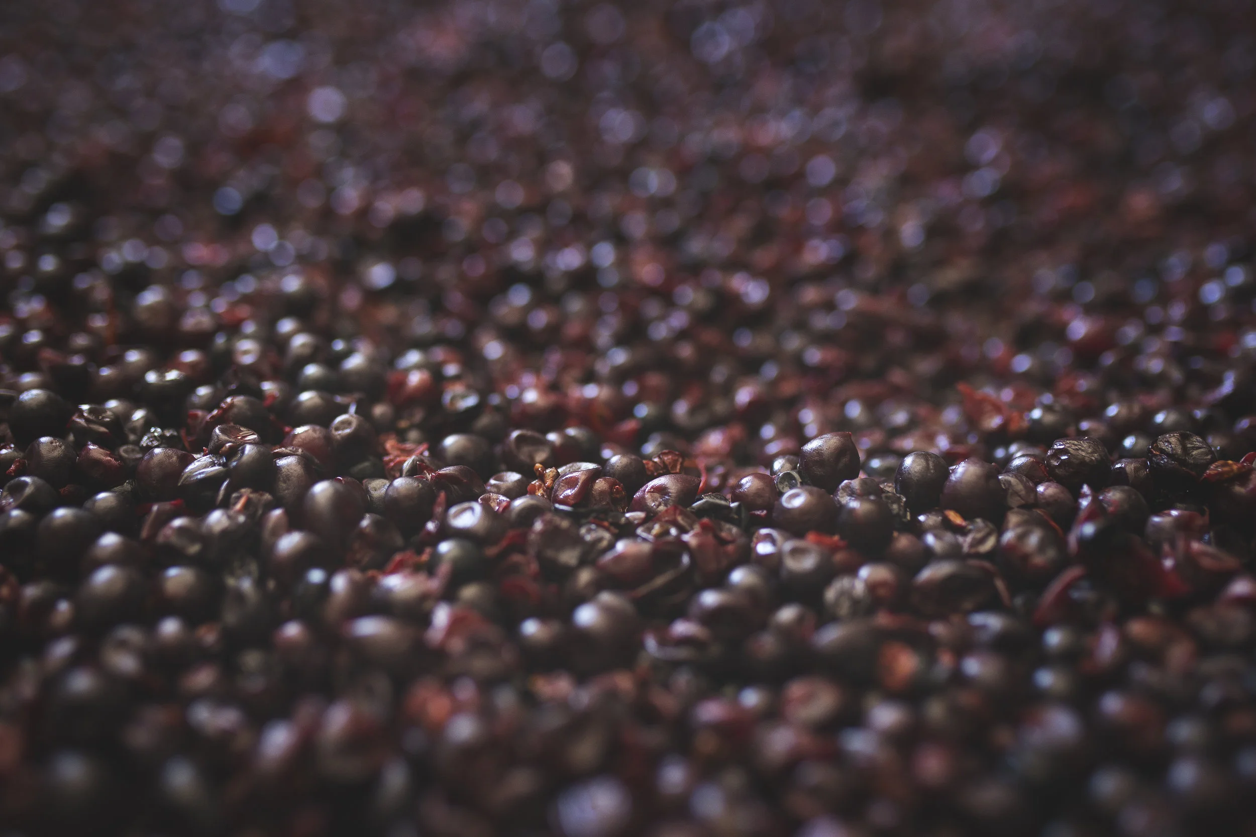 Do Nothing Winemaking