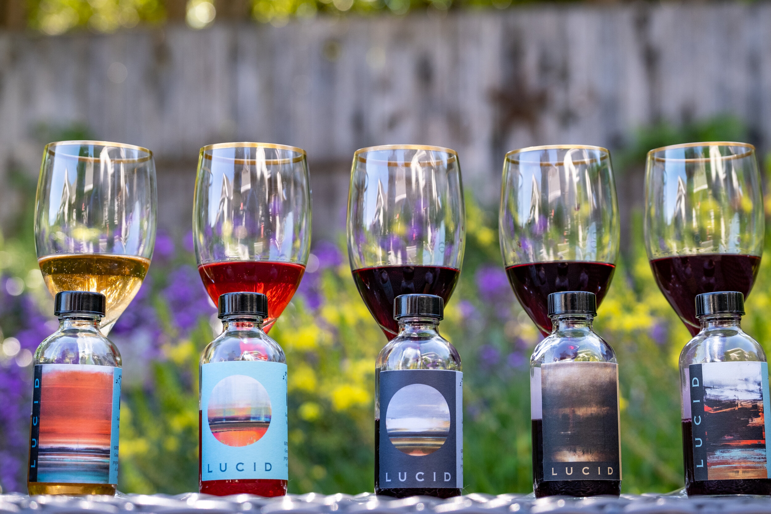 Wine Tasting Flight, Virtual Tastings