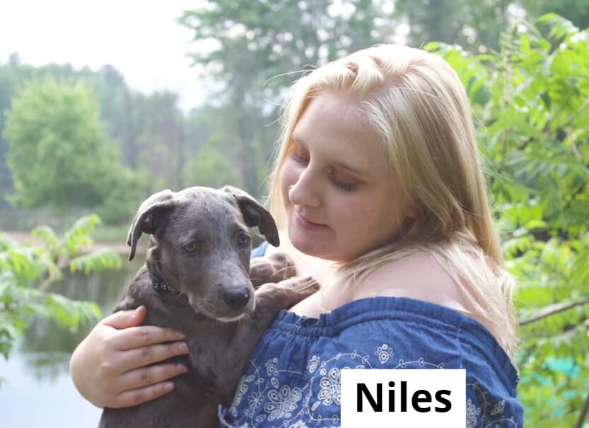 Niles.jpg