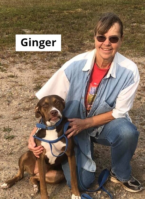 Ginger.jpg