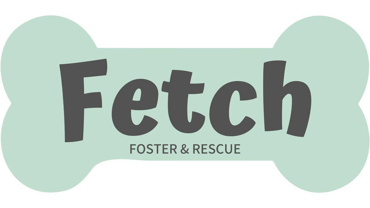 Fetch Foster and Rescue