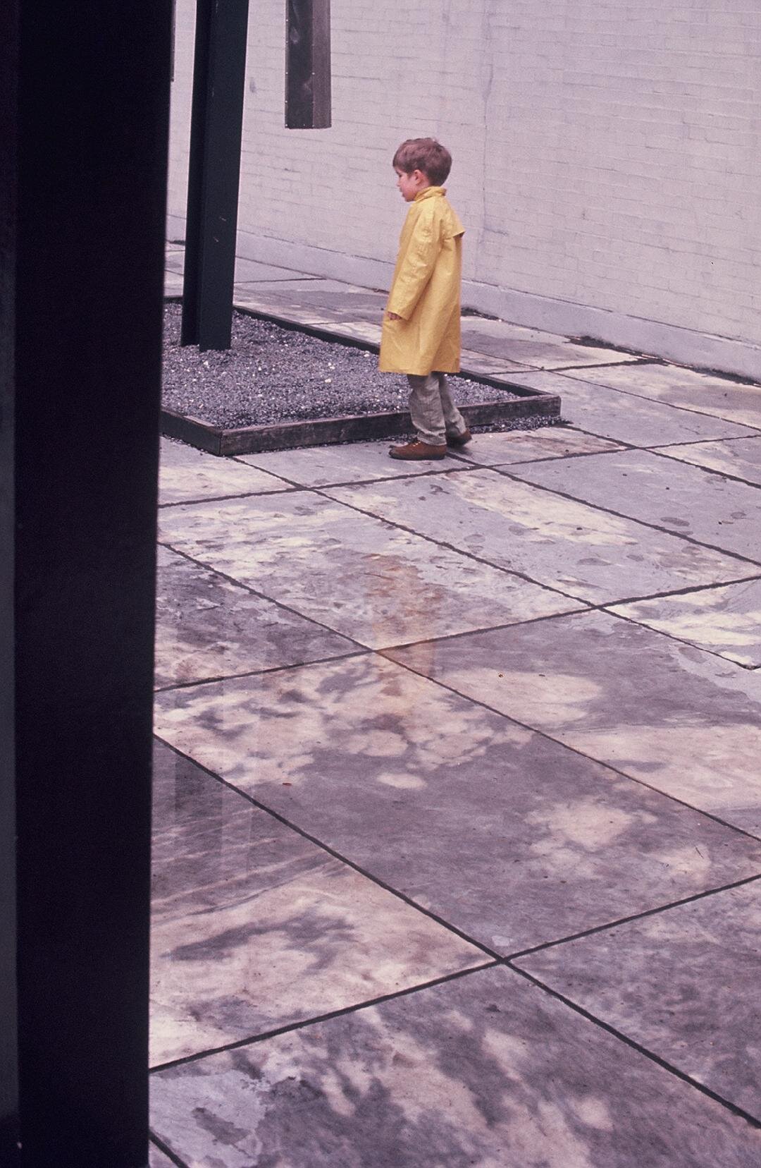 Boy in the rain, garden of Museum of Modern Art (1971)