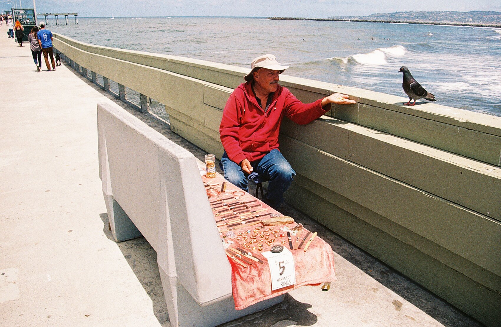 OB+man+with+pigeon.jpeg