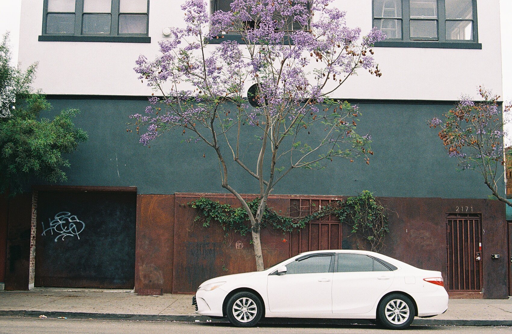 Barrio+street.jpeg