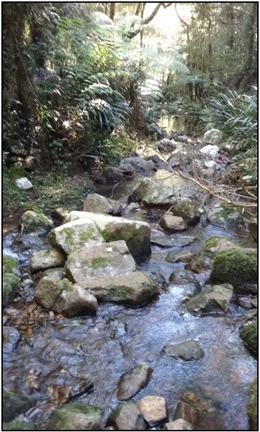 Bushwalkers website photo 2.jpg