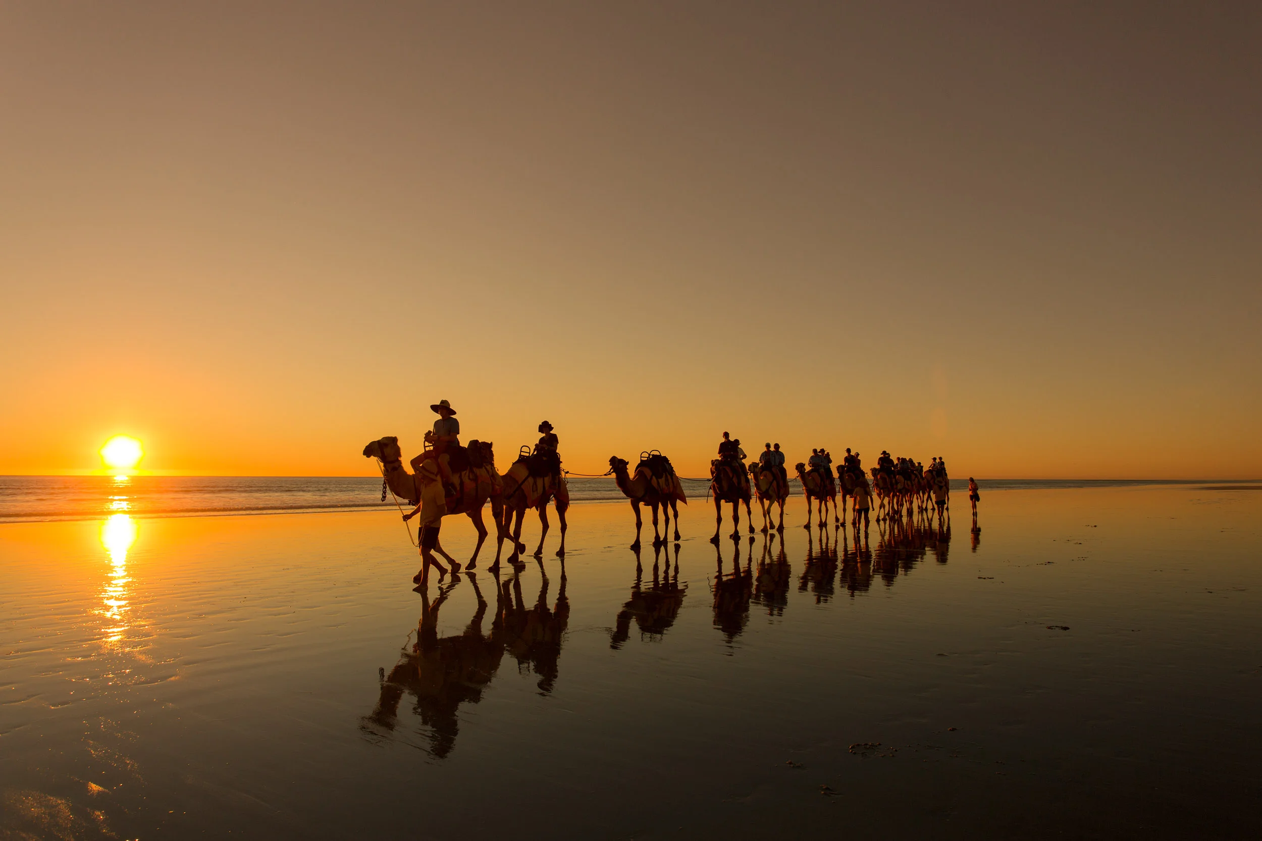 camel-rides-broome-western-australia.jpg