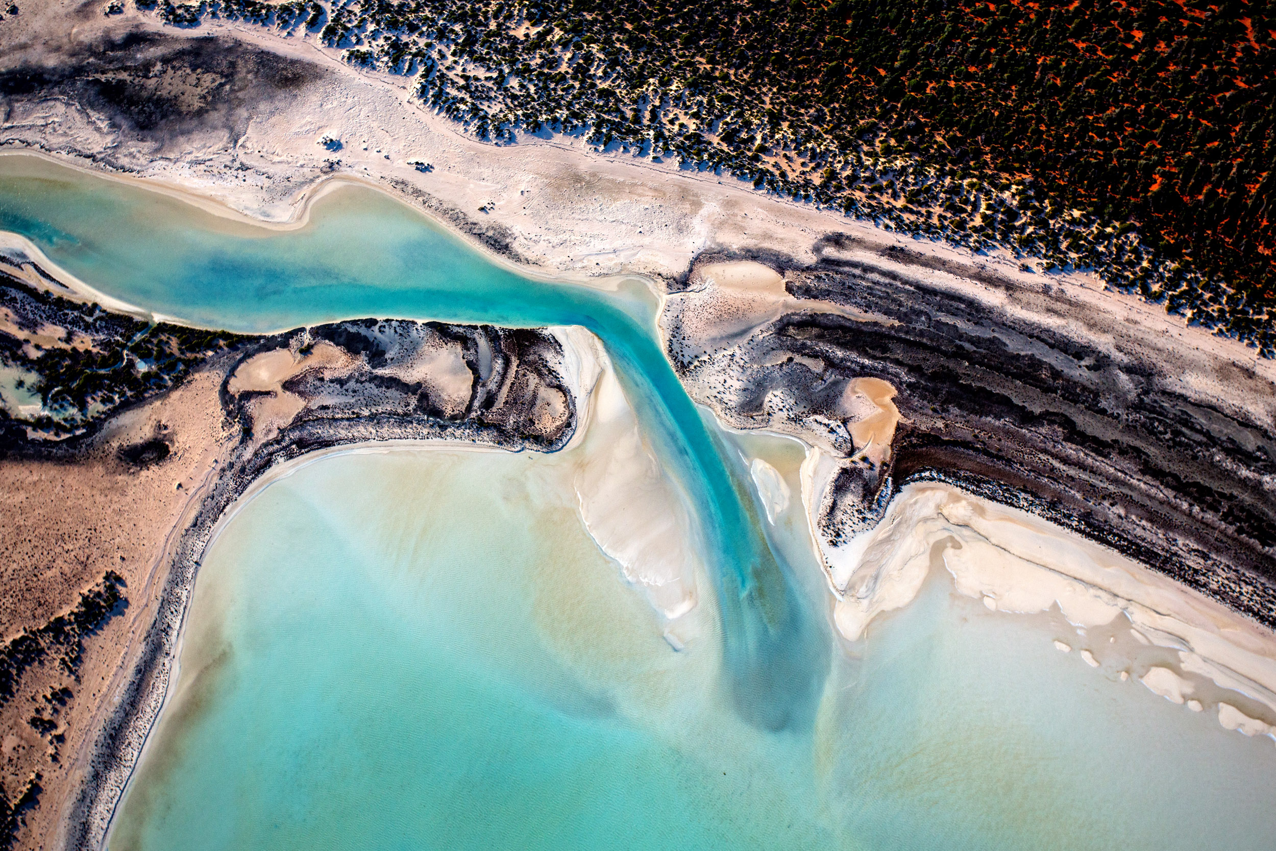 shark-bay-aerials-photographed-from-plane.jpg
