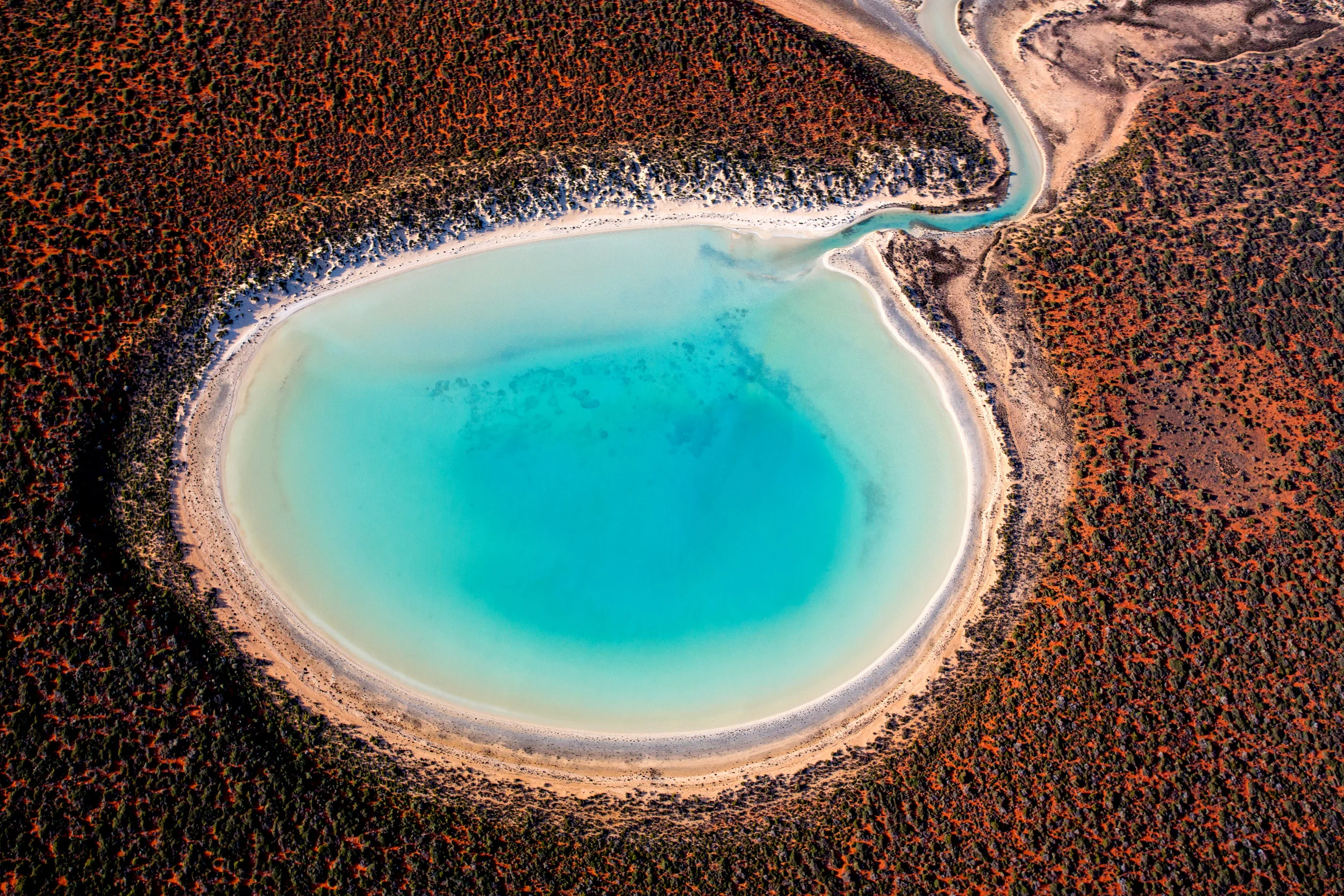 blue-lagoon-shark-bay-aerial-abstract.jpg