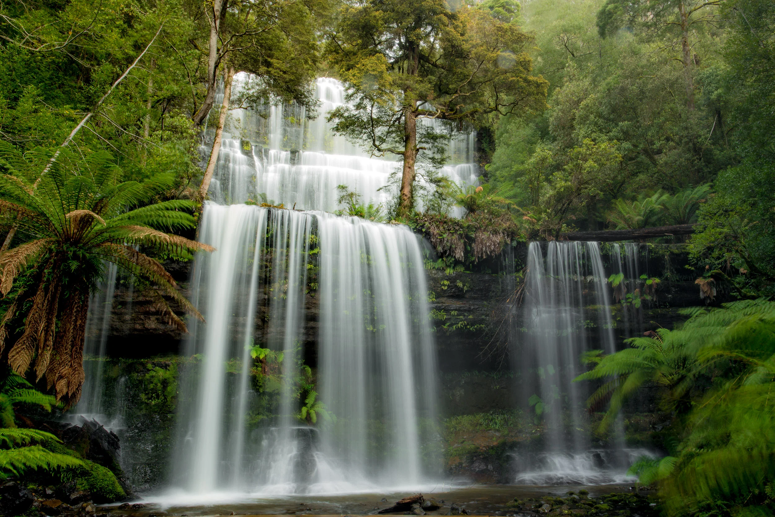 Russell-falls-rainforest-tasmania.jpg