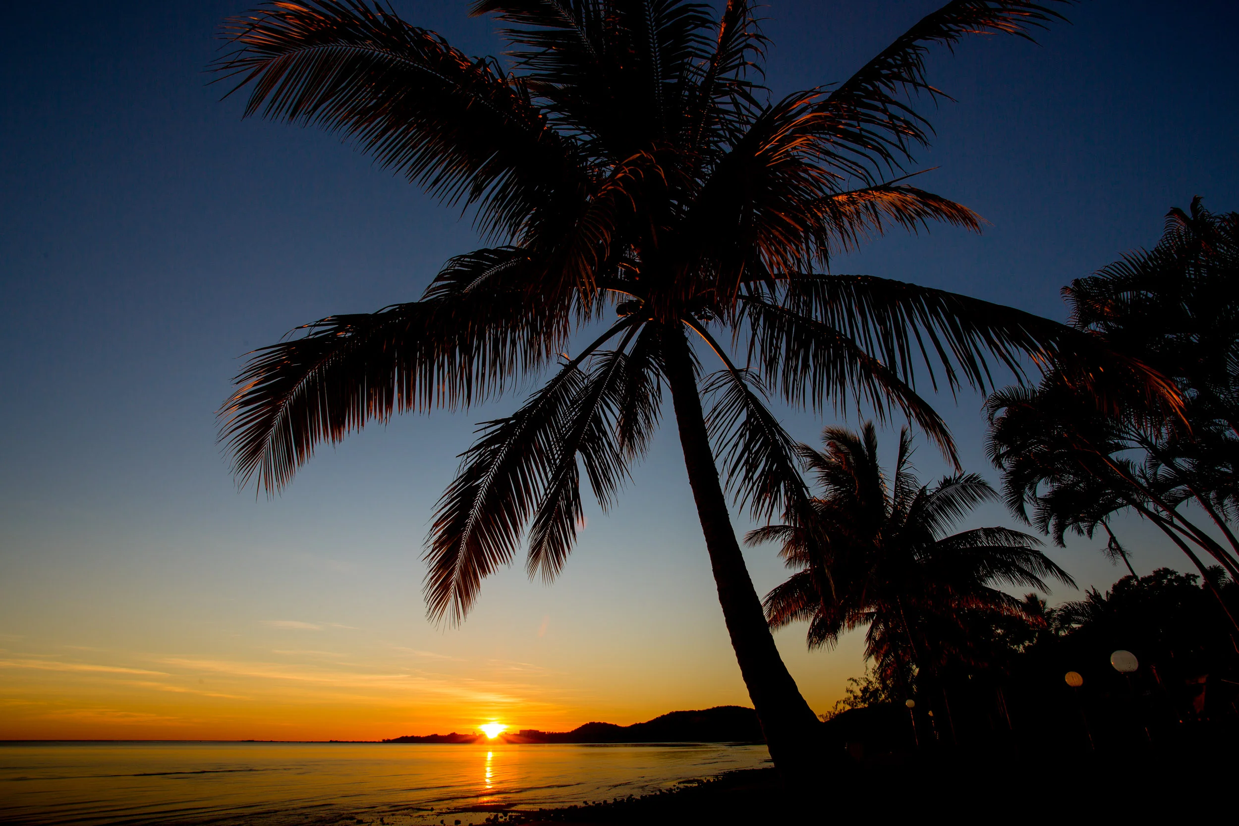 bowen-palm-trees-sunrise.jpg