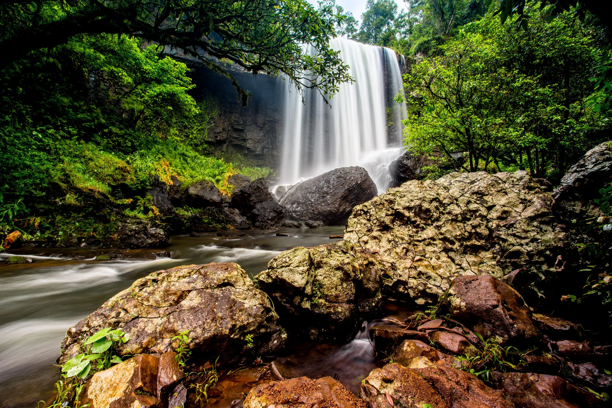 ellinjaa-falls-atherton-tablelands.jpg