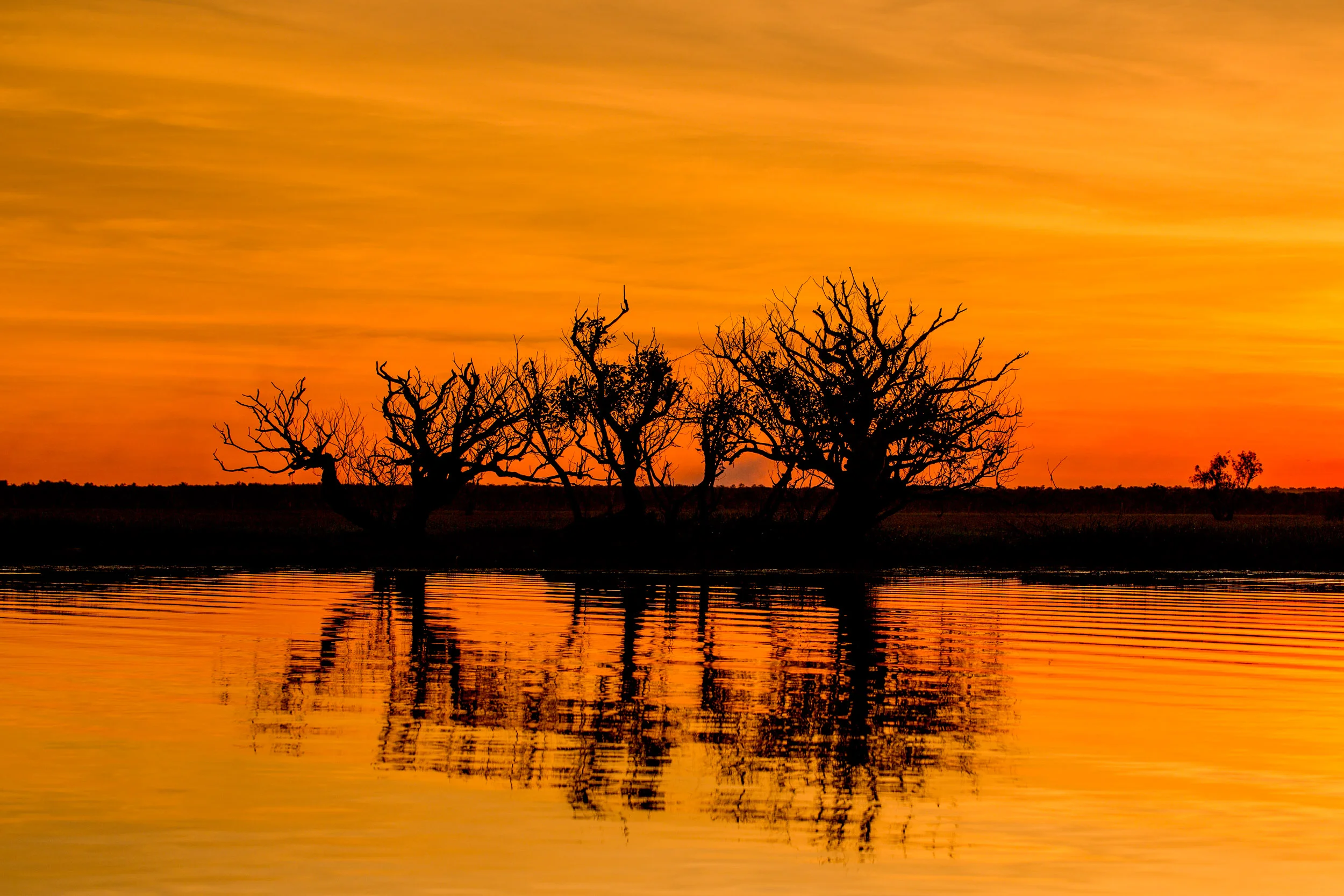 sunset-wetlands-NT.jpg