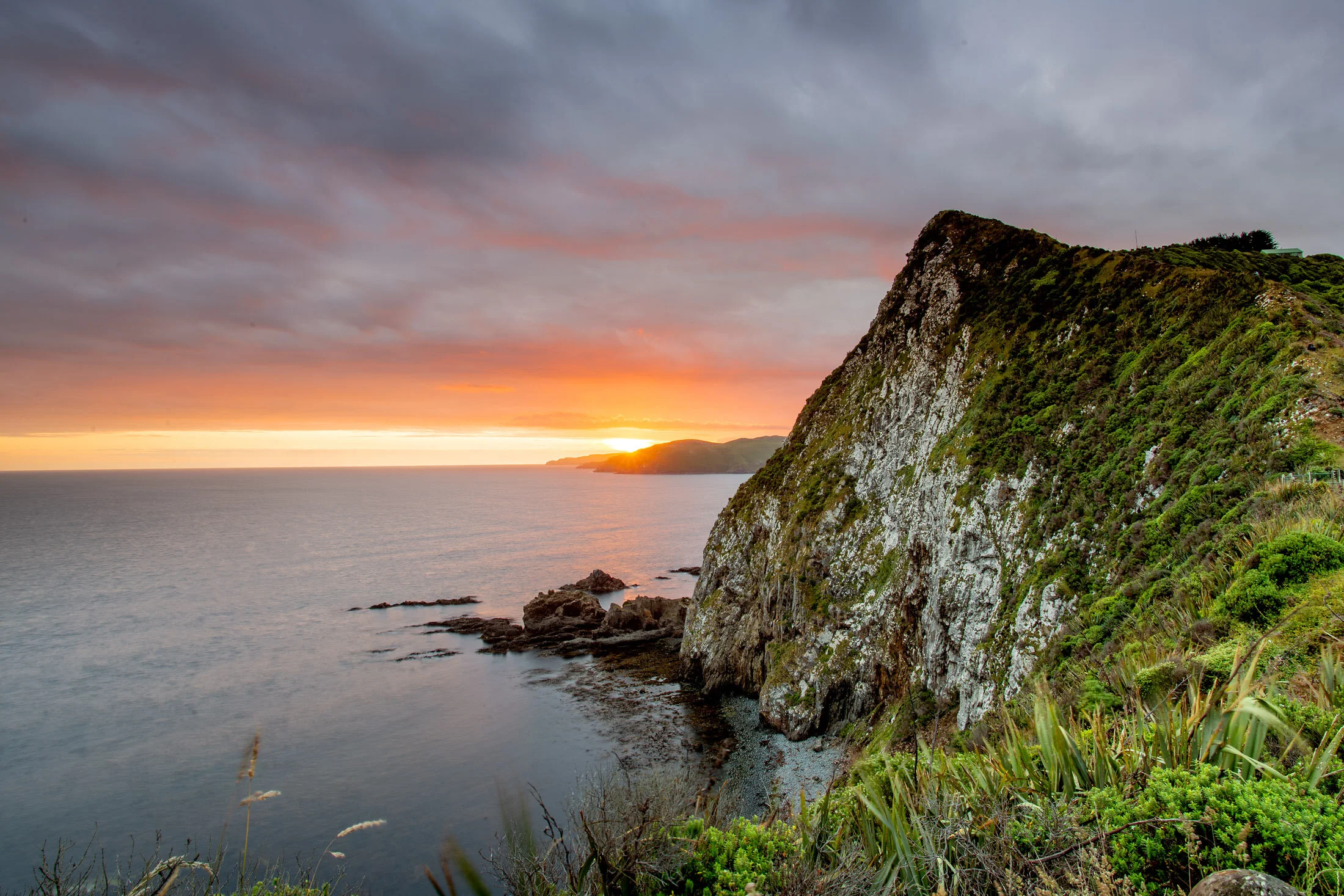 catlins-new-zealand-south-island.jpg