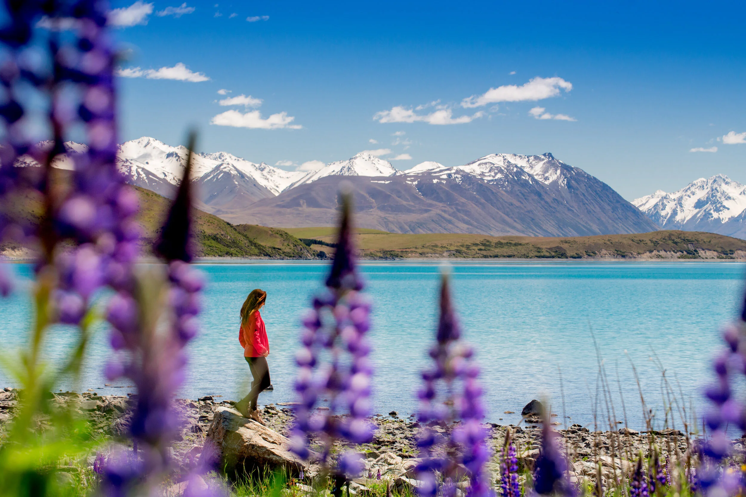 new-zealand-south-island-lakes.jpg