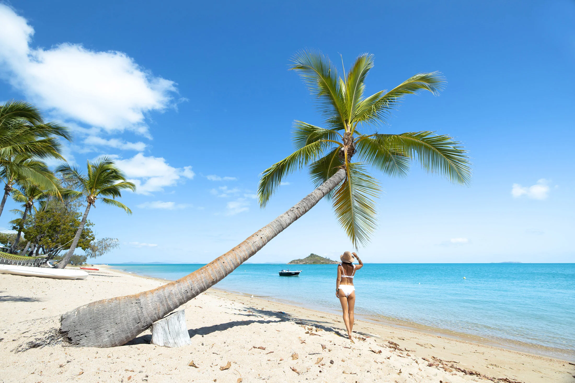 whitsundays-palm-trees.jpg