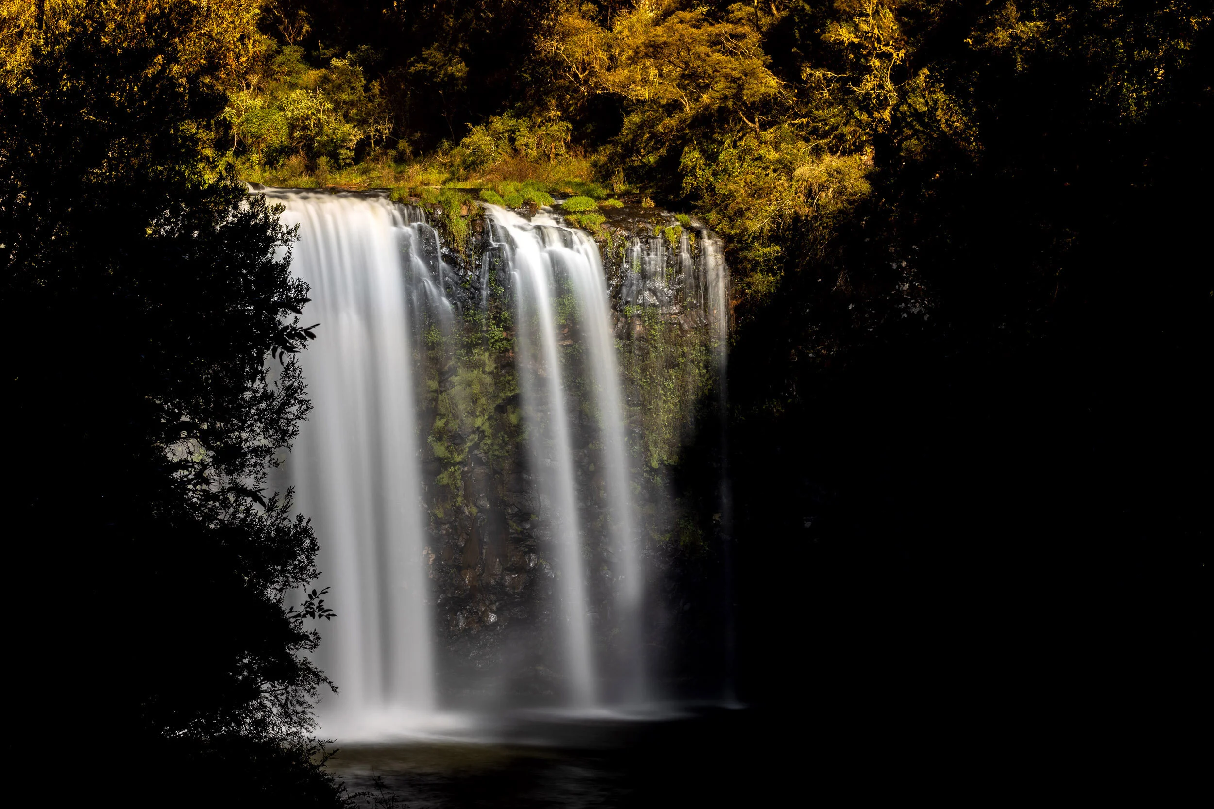 dangar-falls-dorrigo.jpg