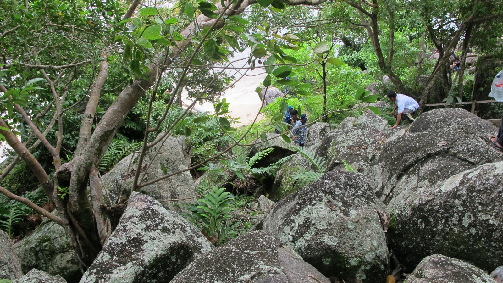 Trias Tanjungpandan Granite at Batu Pulas