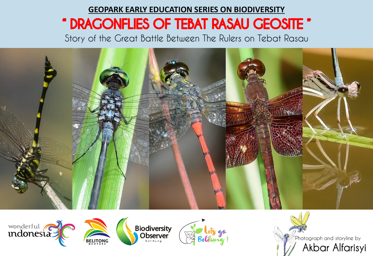 Dragonflies of Tebat Rasau, Story of Great Battles between Rulers of Tebat Rasau