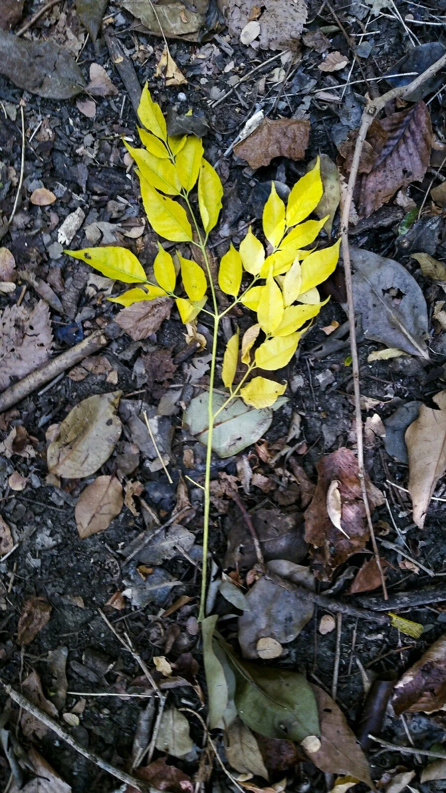 Evidence of Life