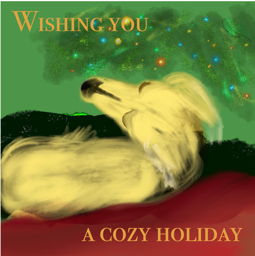 Timmy's Cozy Christmas