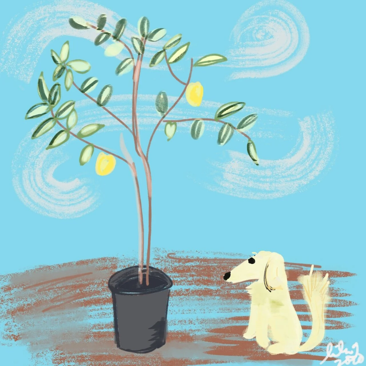 AFA0853B-C049-4BF5-856C-82442EA5B806