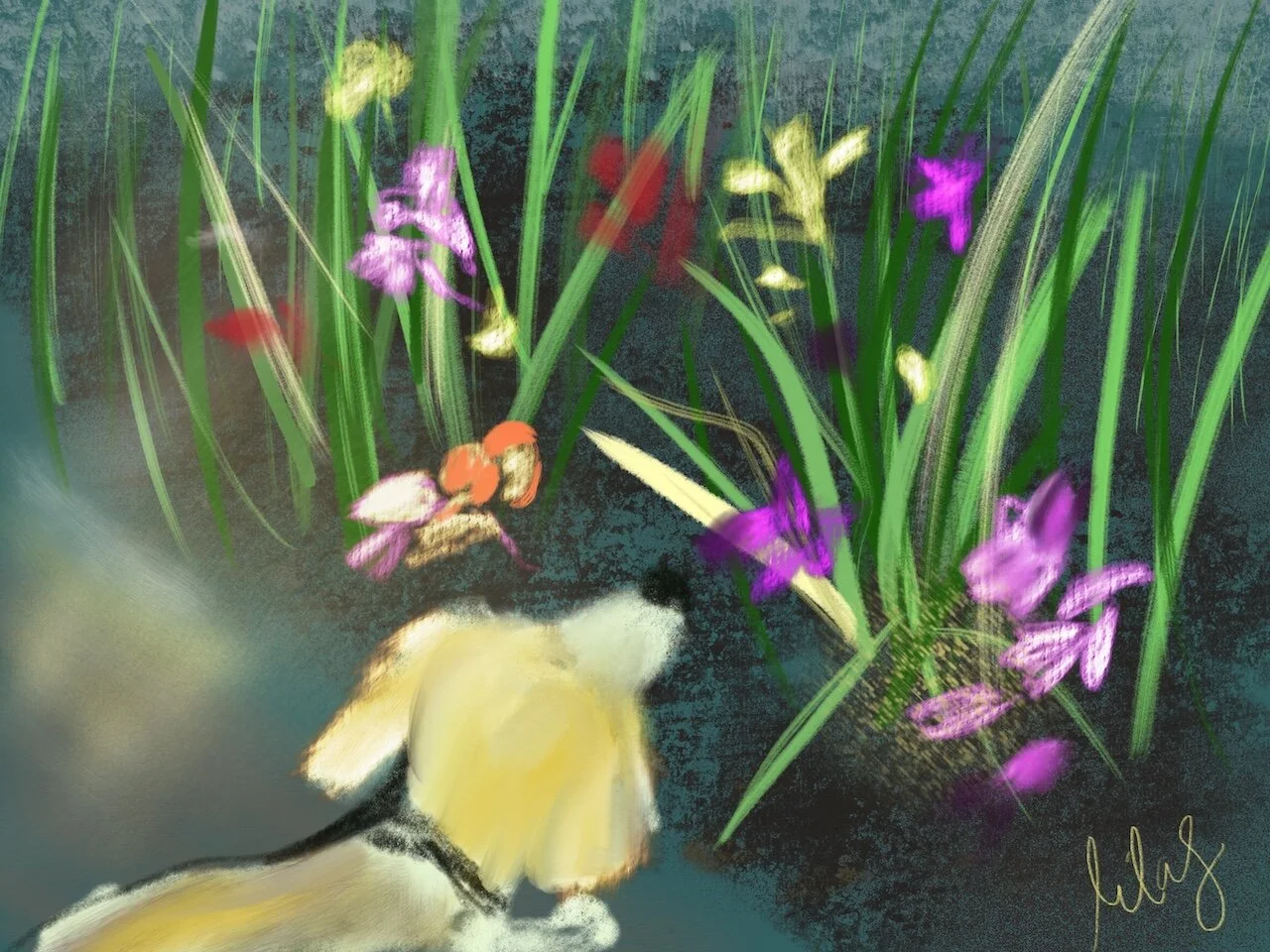 8C12A7FB-2D00-4076-B01E-750D4BAEA83E