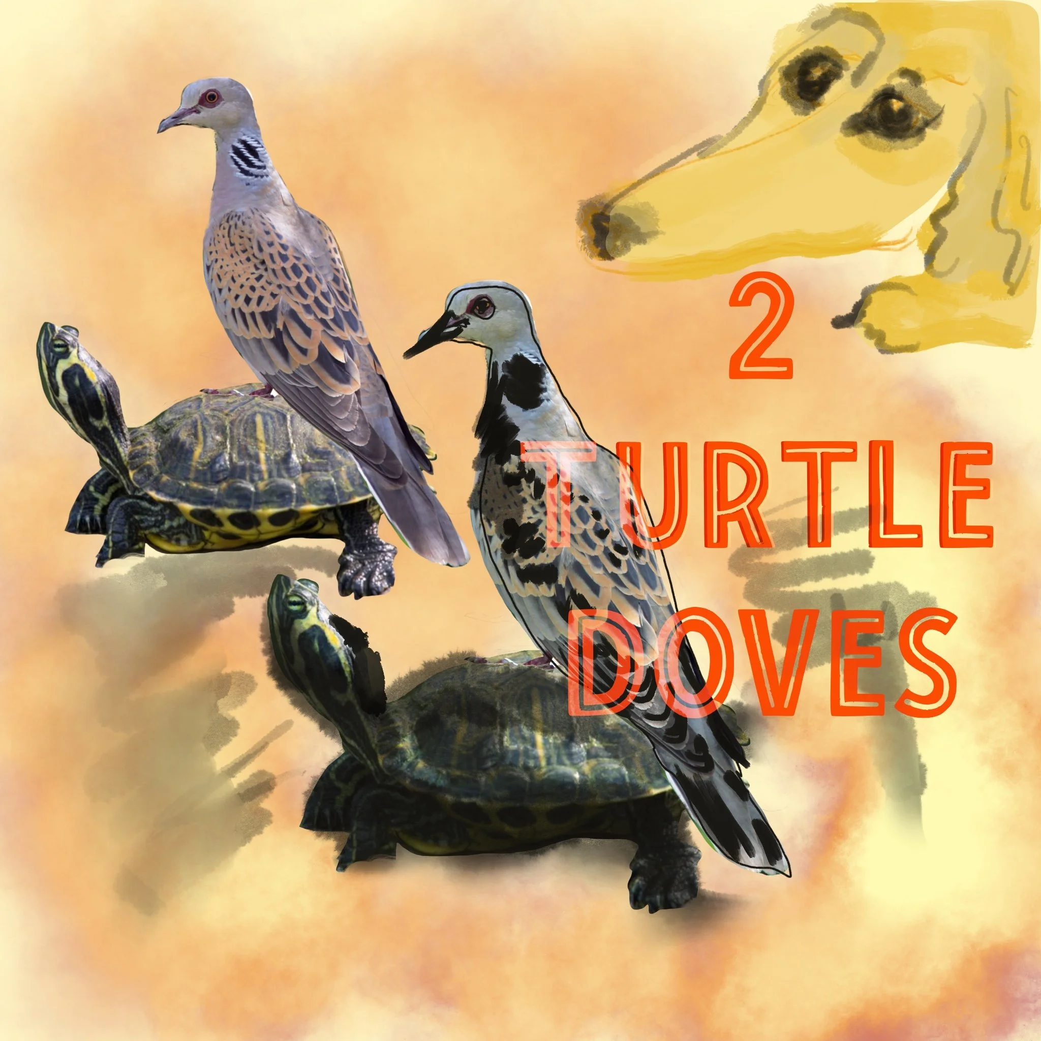 Two Turtle Doves