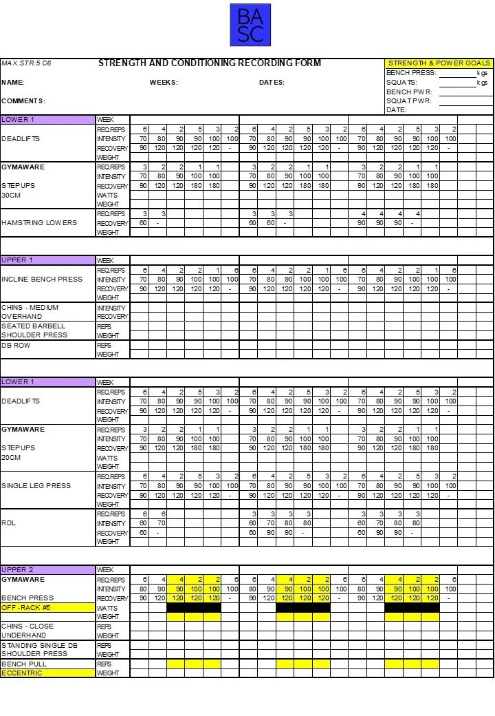 Beneficenza Malattia Reporter Fitness Program Template Liquido
