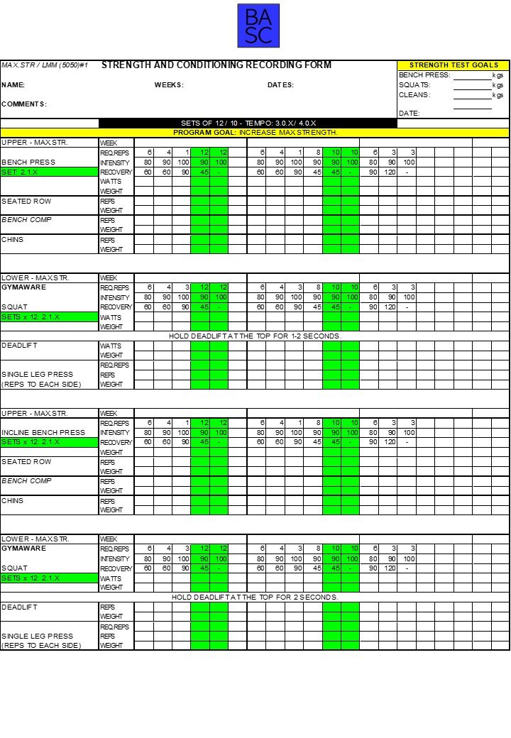 Gym Program Templates Basc