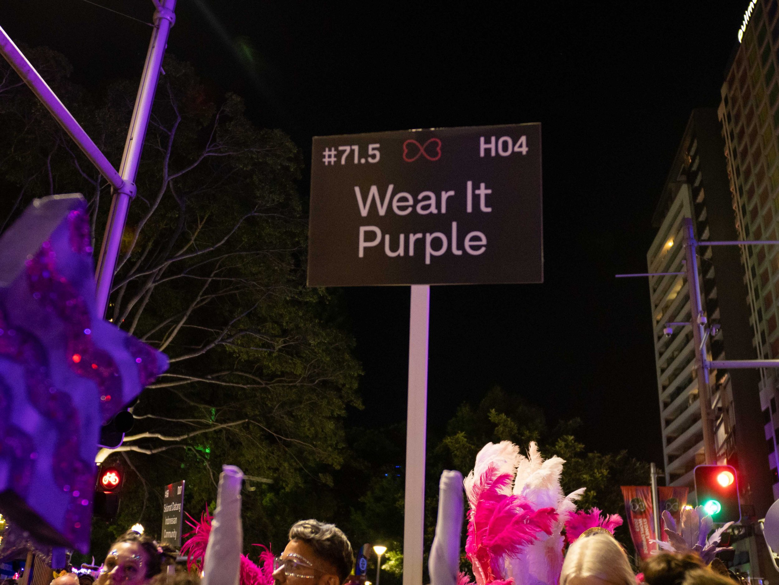 Wear it Purple - Mardi Gras-44.jpg