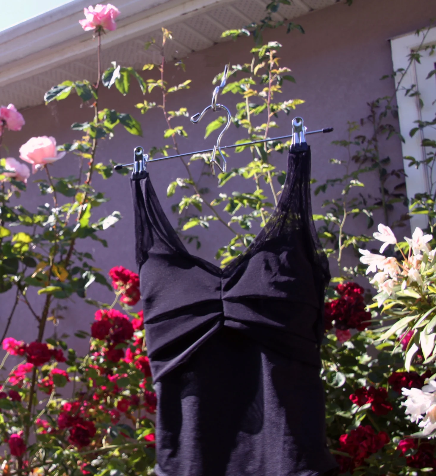 amie+black+B.jpg