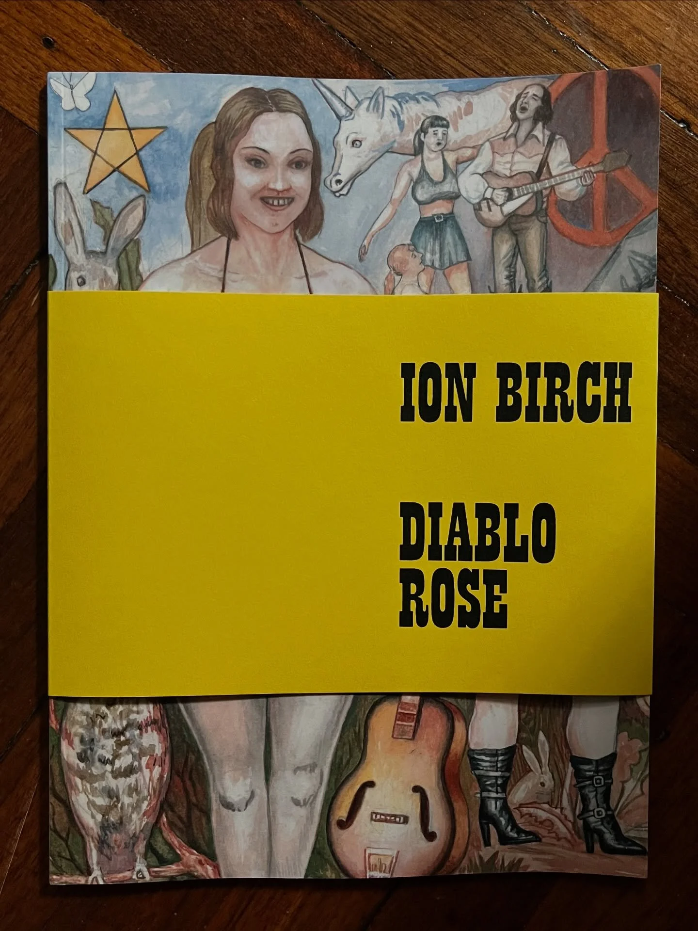 Spotlight on Diablo Rose by @ionbirch, a book that&rsquo;s impossible to post without landing in internet jail. Happy to help bring this work to light in an elegant edition designed by @ra_bear, with an essay on the artist by @brad___phillips. First 