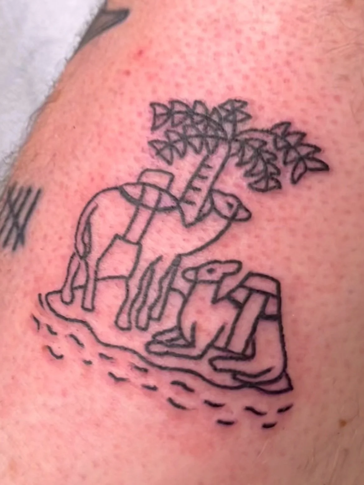 Thankful for a whirlwind year of new beginnings. This was one for the books!

Thanks to each and every one of you who participated in our big transition relocating and recommitting to Desert Island this year. Community has been a lifeline in these tr