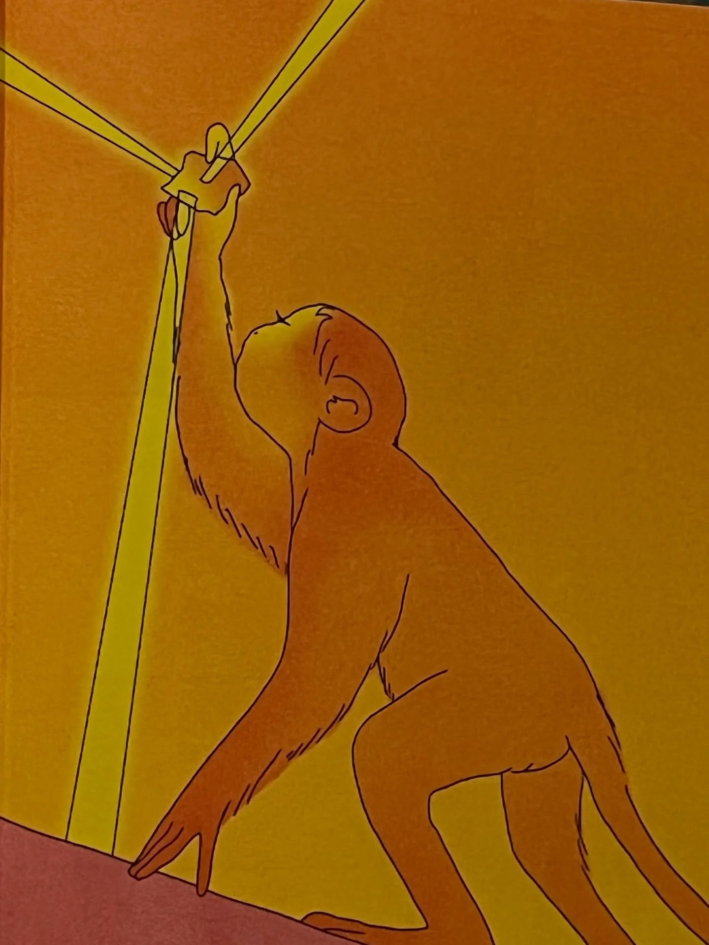 Incredible Maria Medem book has arrived from France @mariamedem