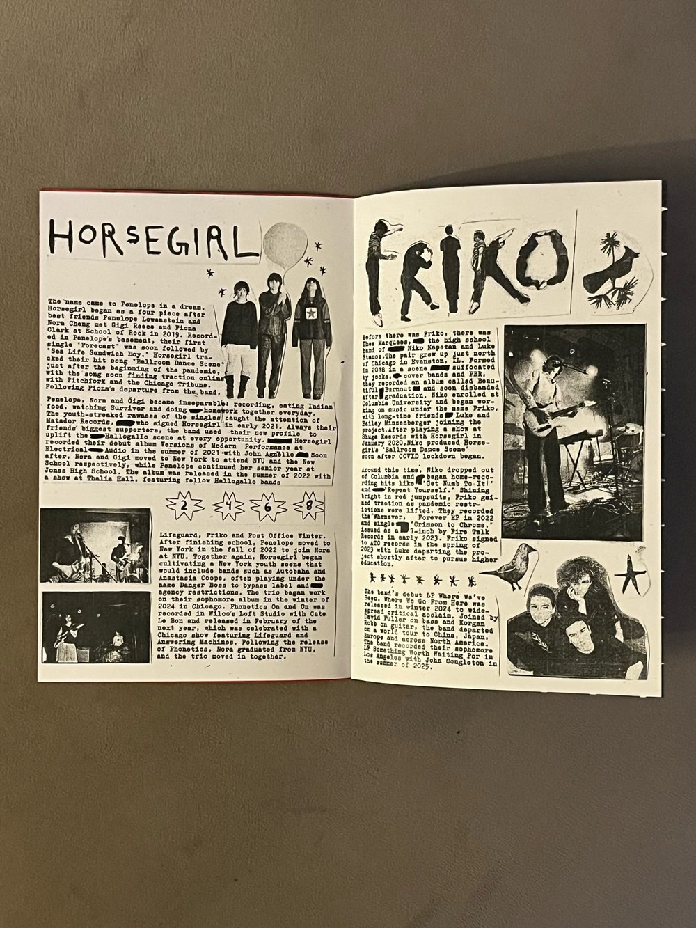 Red Xerox LP + Zine — Desert Island