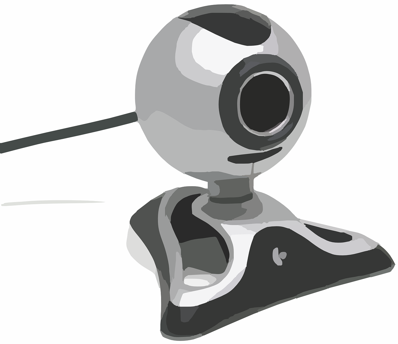Datalek bij een van de grootste erotische webcamsites ter wereld