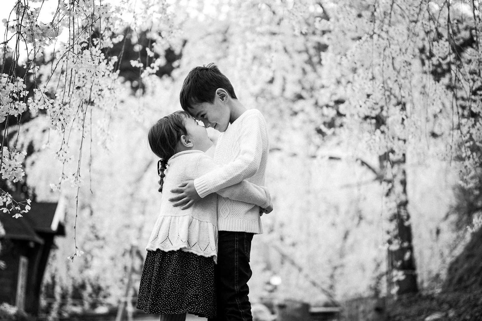 Acros Reverie Preset