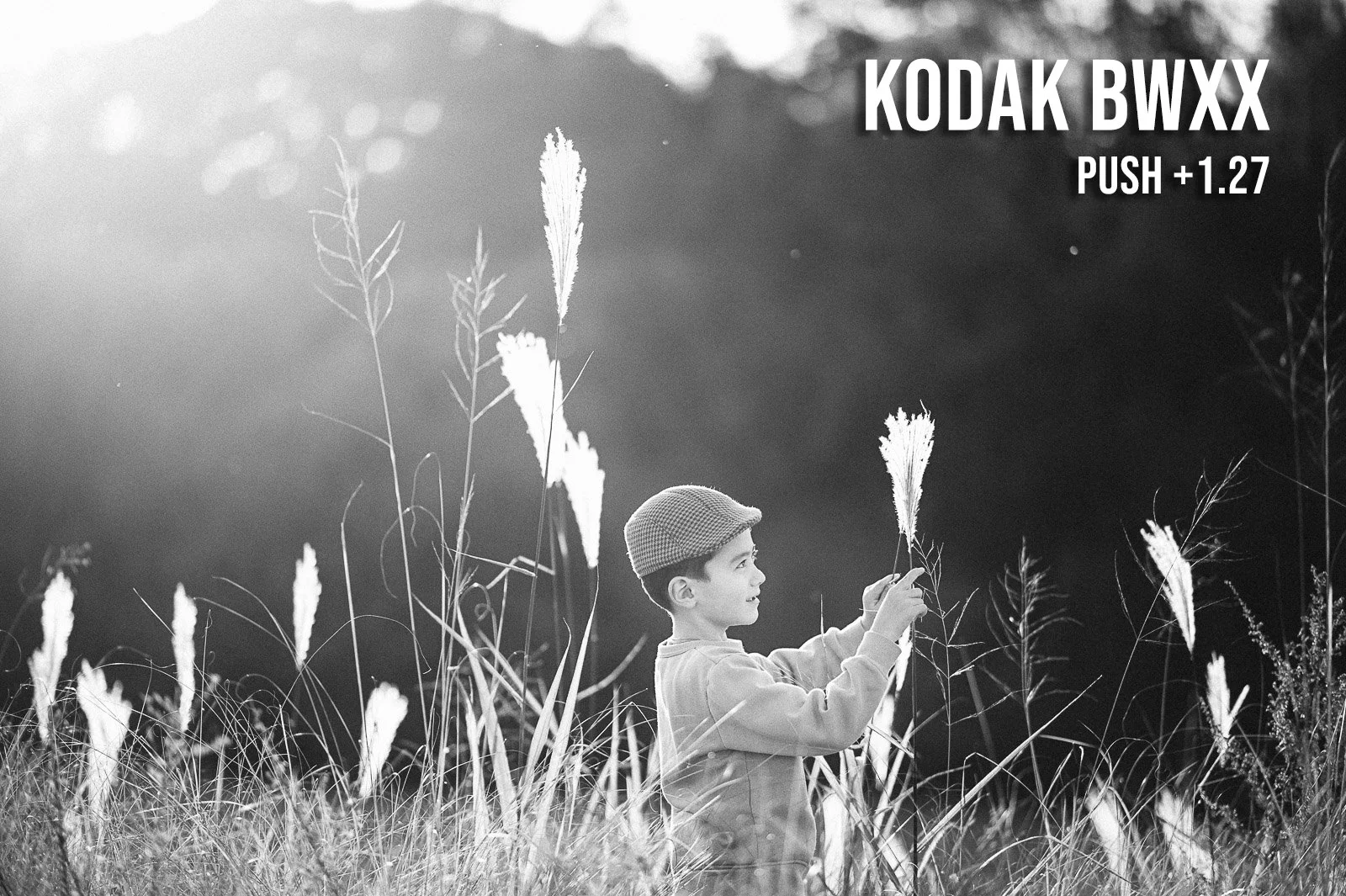 KodakBWXX_after.jpg