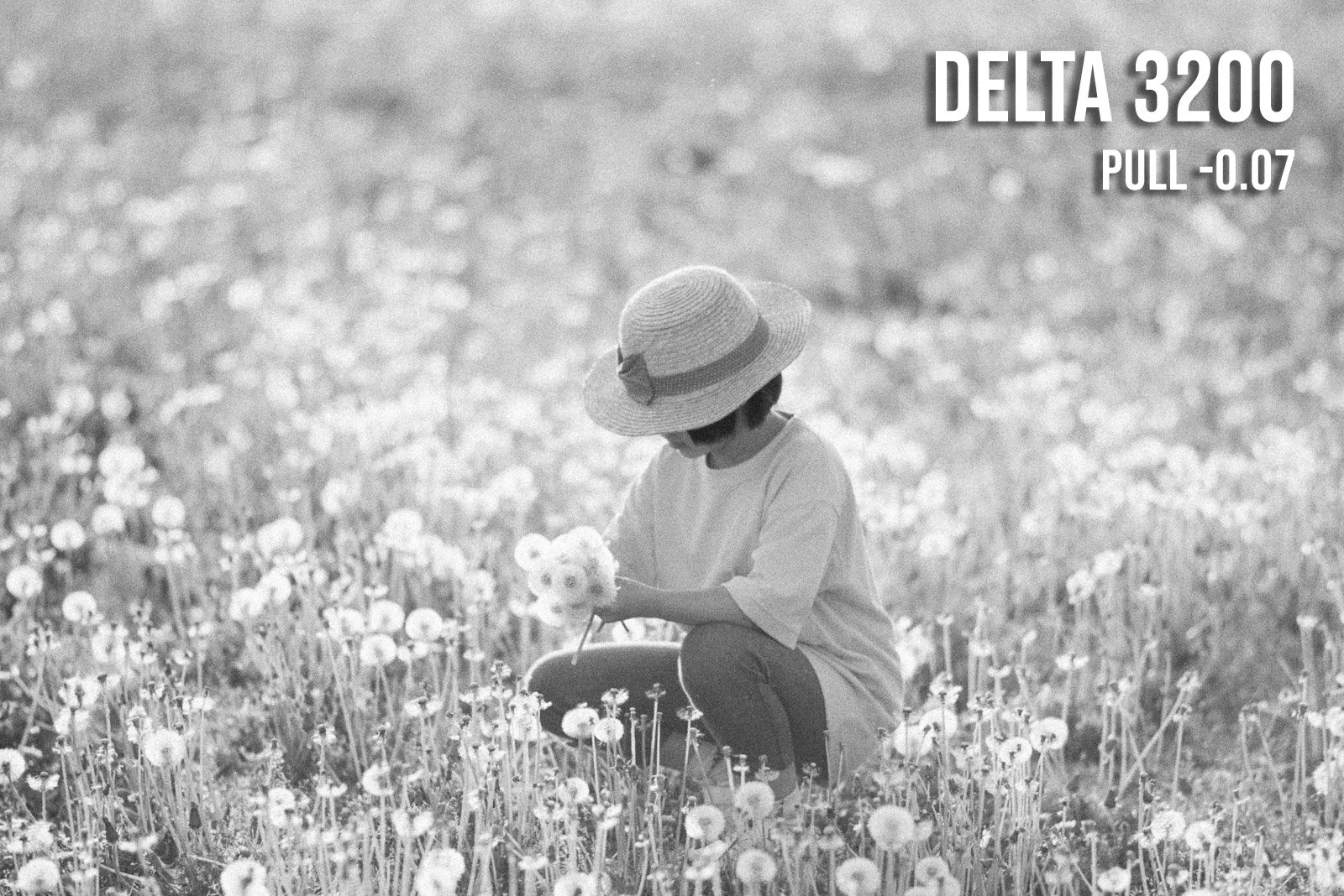 Delta3200_after.jpg